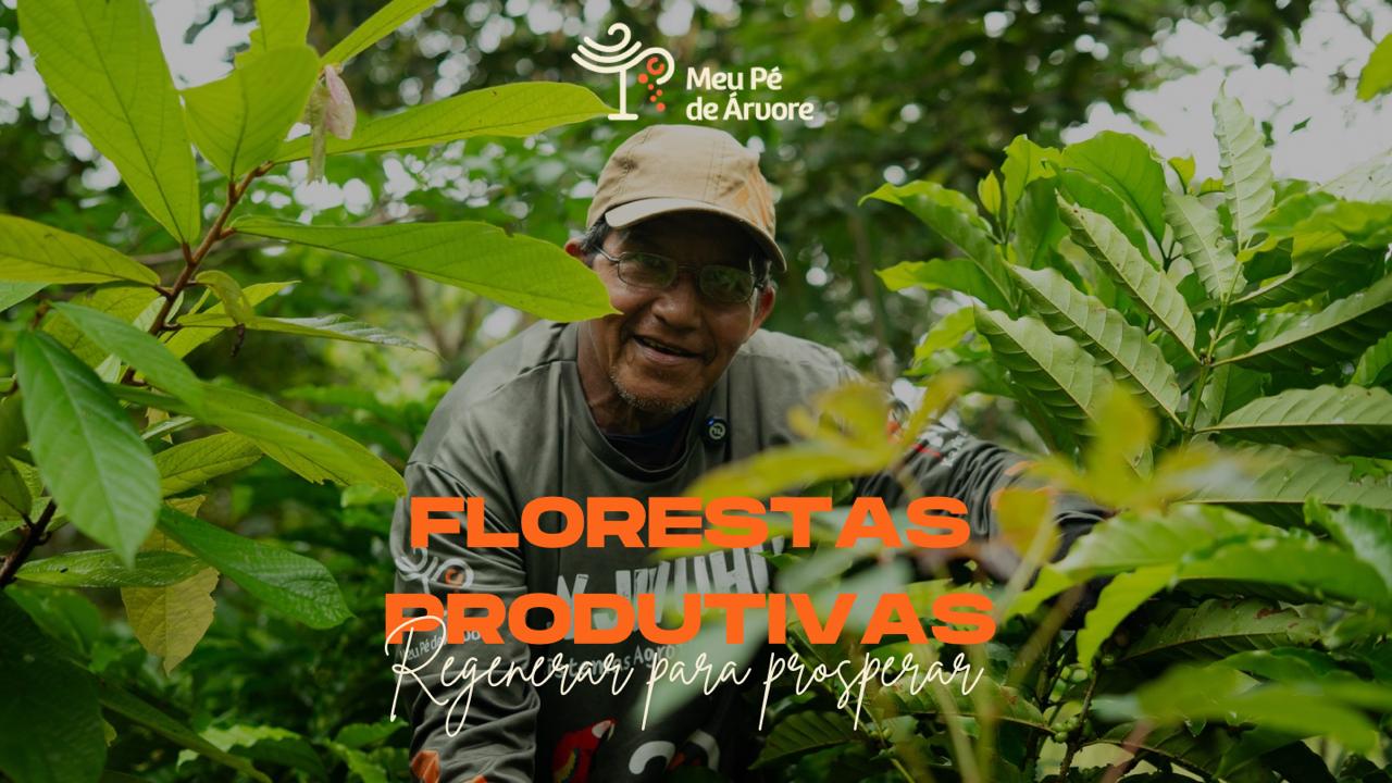 Plantio de Florestas Produtivas ( Meu Pé de Árvore )