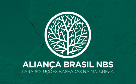 ALIANÇA BRASIL NBS